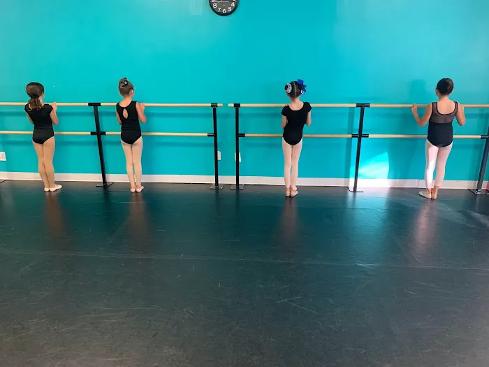 Dynamic Dance Academy Picture 6