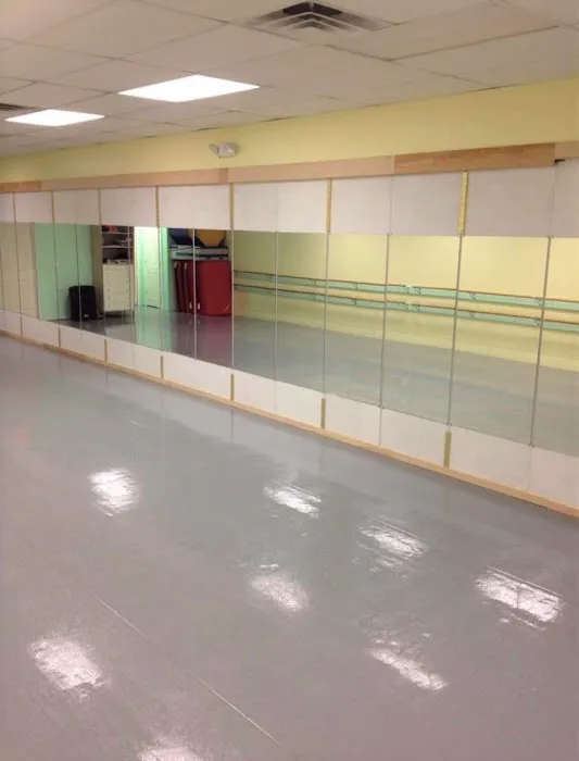 Susie Karlik's Dance Sensation Picture 1