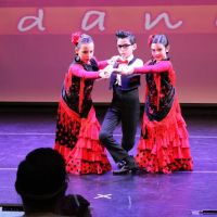 CMG Dance Project ico