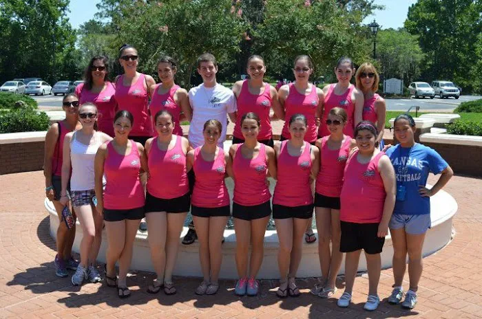 Dancesation LLC Picture 6