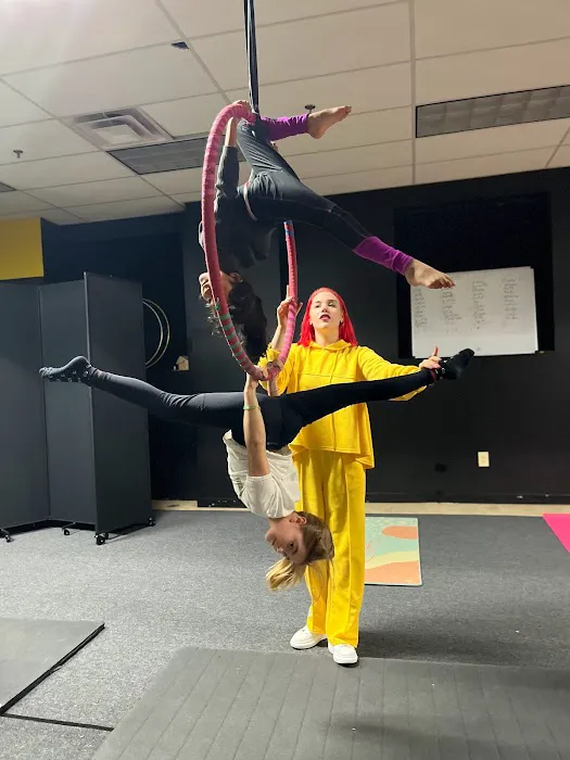 Black & Yellow Dance and Circus School Picture 3