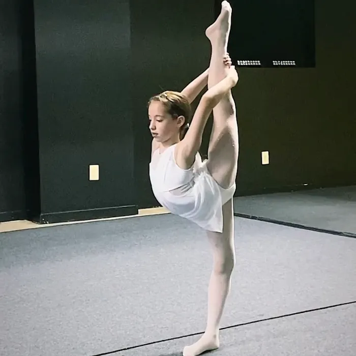 Black & Yellow Dance and Circus School Picture 10