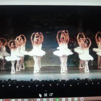 Victoria Ballet Theater Inc ico