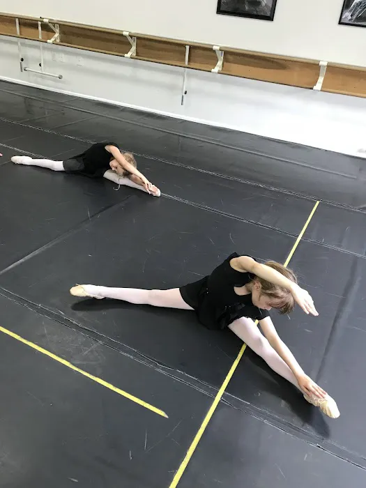 Victoria Ballet Theater Inc Picture 3