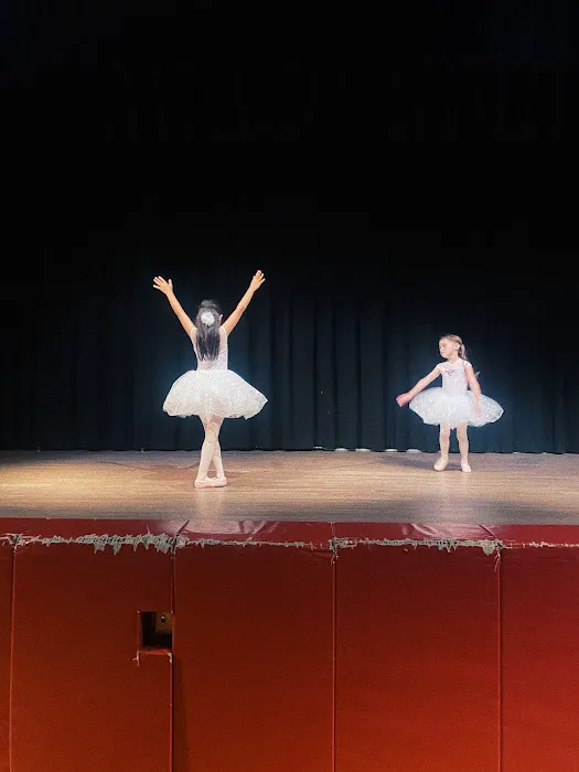Ballet Soul Body Picture 4