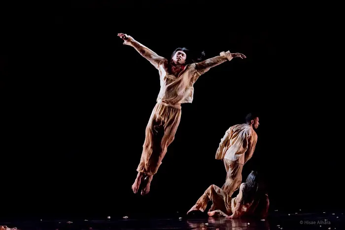 Jose Limon Dance Foundation Picture 4