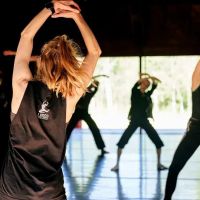 Jose Limon Dance Foundation ico