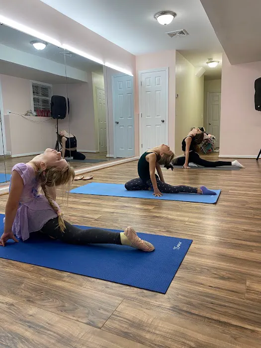 Dance and Gymnastics School Releve Picture 1