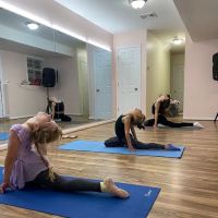 Dance and Gymnastics School Releve ico