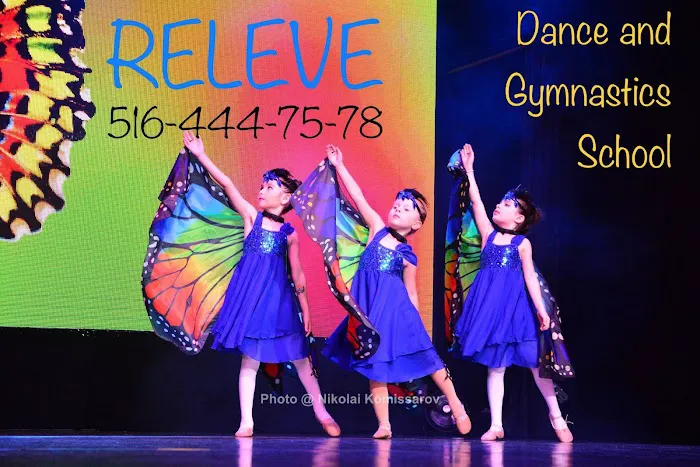 Dance and Gymnastics School Releve Picture 7