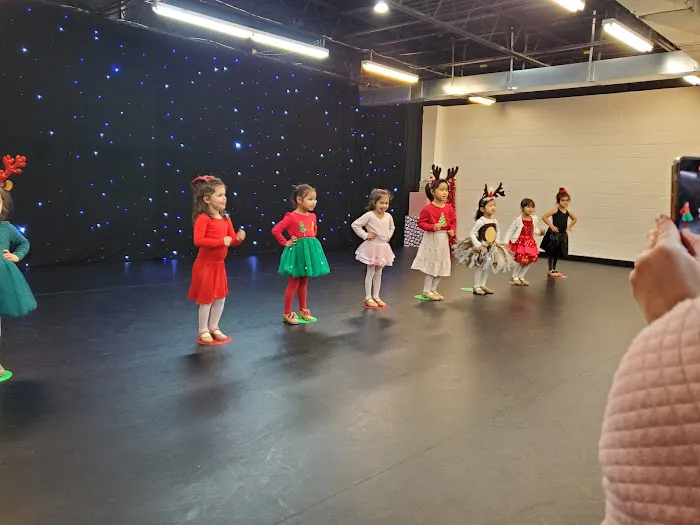 Allegro Arts Academy Picture 5