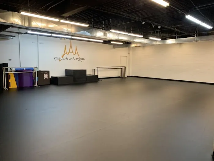 Allegro Arts Academy Picture 8