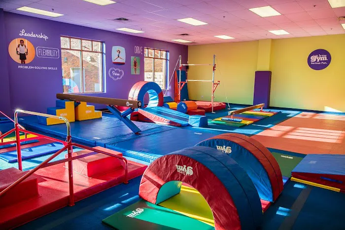 The Little Gym of Montclair Picture 8