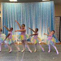 Genovese Dance Alliance ico