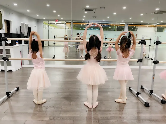 Michelle Dance Academy Picture 3