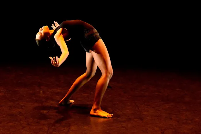 Passion Flux Dance Co. Picture 10