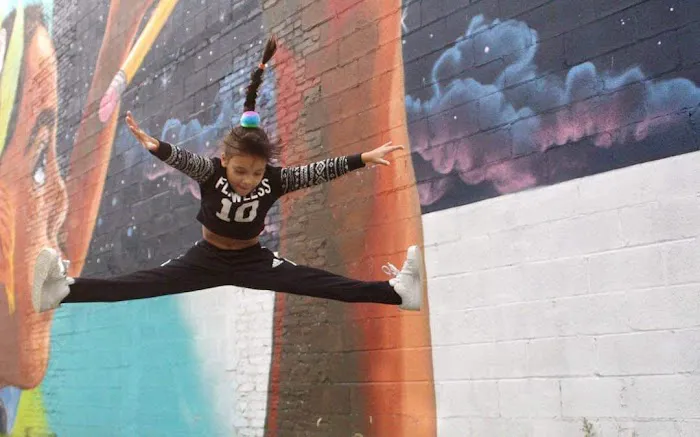 Passion Flux Dance Co. Picture 1