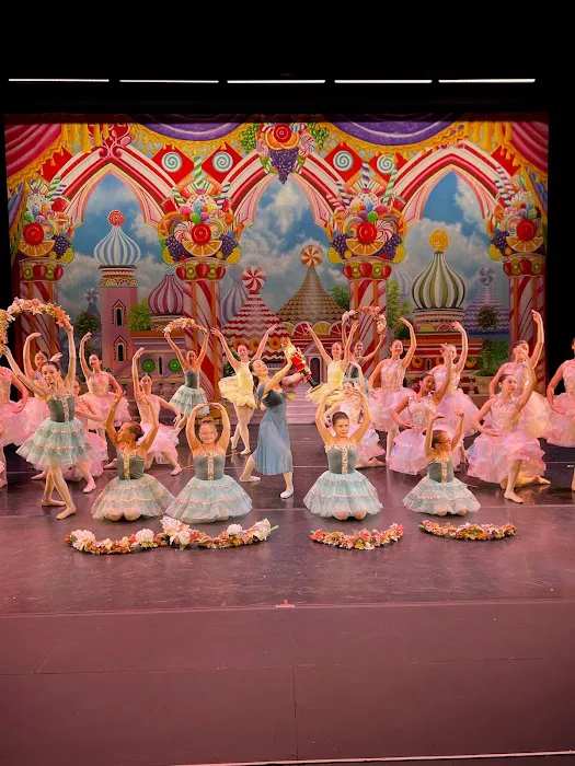 American Youth Dance Theater North Picture 2