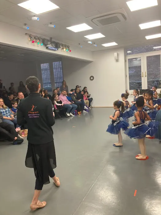 American Youth Dance Theater North Picture 7