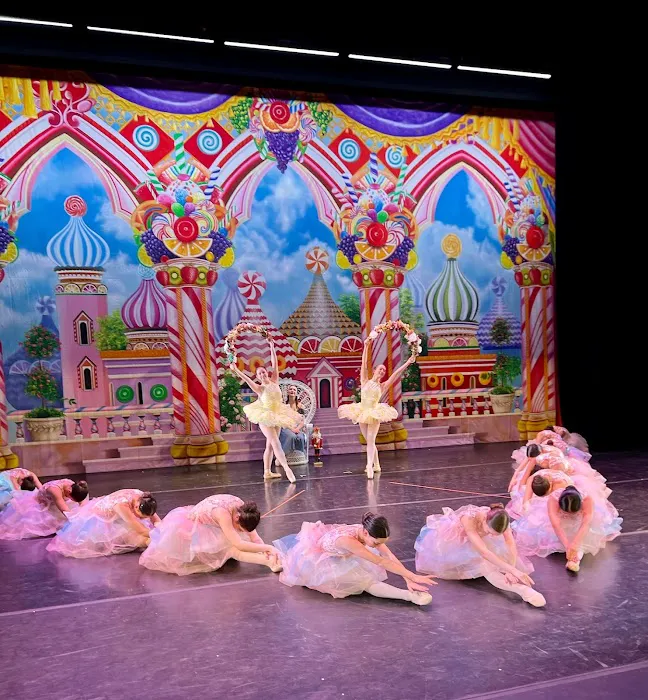 American Youth Dance Theater North Picture 10