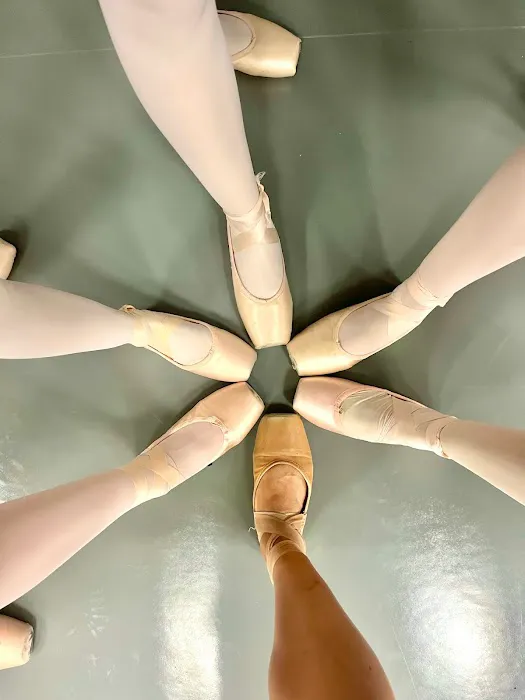 American Youth Dance Theater North Picture 5
