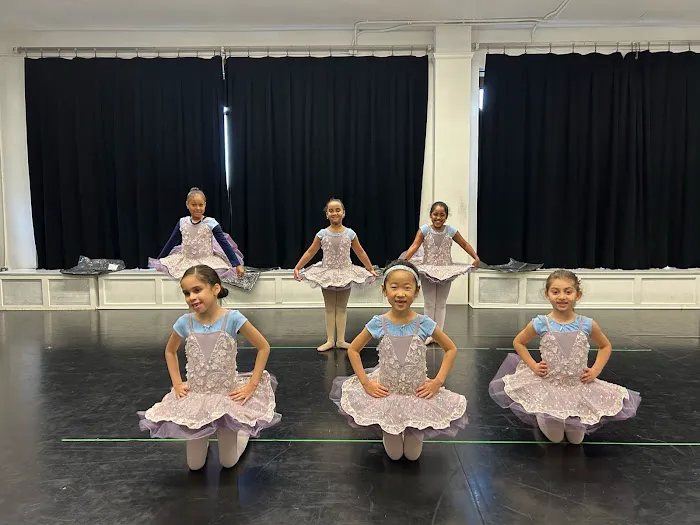 American Youth Dance Theater North Picture 3