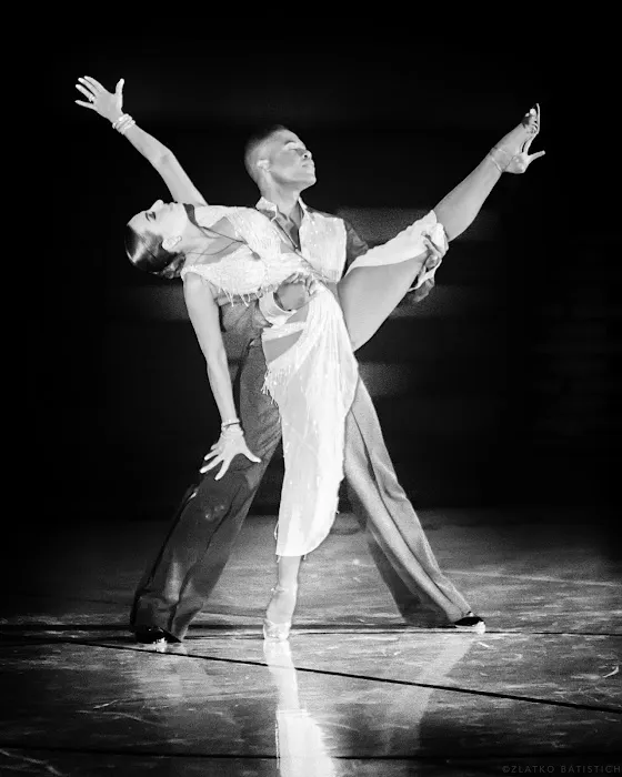 JEAN MICHEL'S LET'S DANCE Picture 2