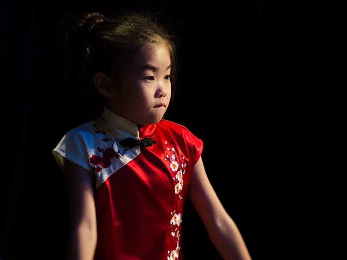 Art of the Dance World Academy Picture 2