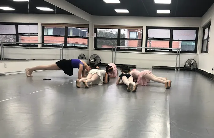 Art of the Dance World Academy Picture 6