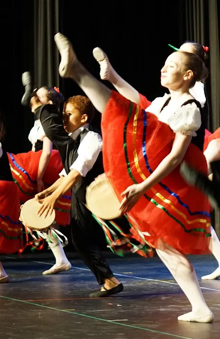 Art of the Dance World Academy Picture 3