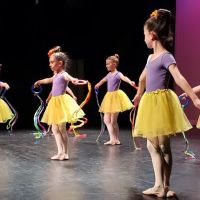 Art of the Dance World Academy ico
