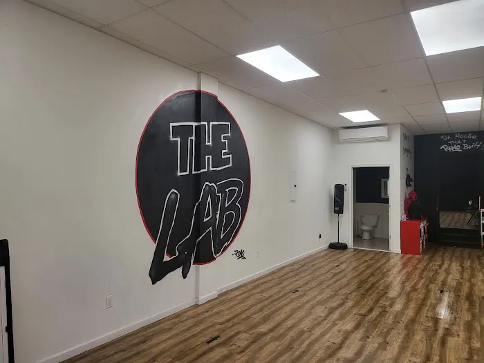 Art of Stepping - The Lab Picture 3