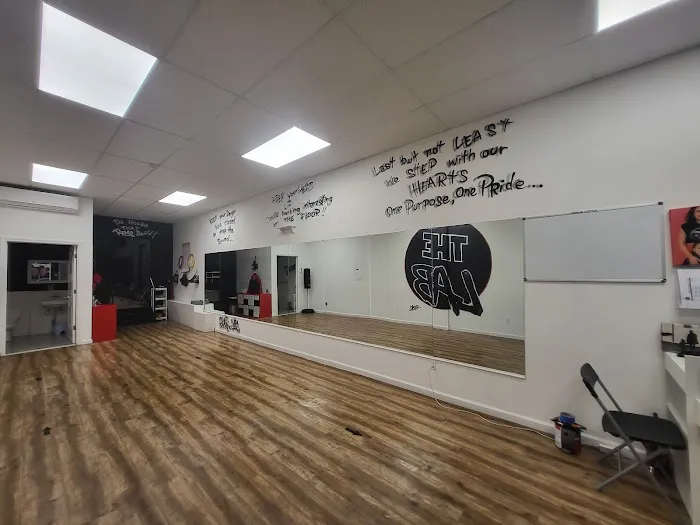 Art of Stepping - The Lab Picture 2