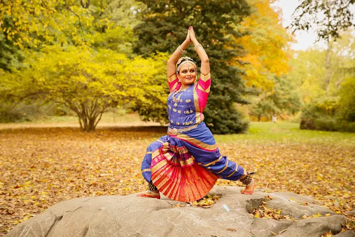 Hamsaasya School of Dance Picture 6