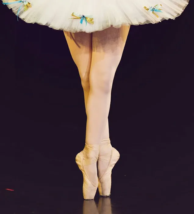 Classical School of Ballet Picture 2