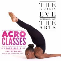 The Gloria Eve Performing Arts Foundation Inc. ico
