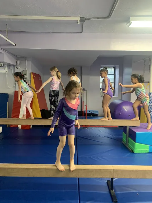 Sofia's Fitness & Dance Studio Picture 3