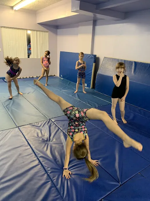 Sofia's Fitness & Dance Studio Picture 4