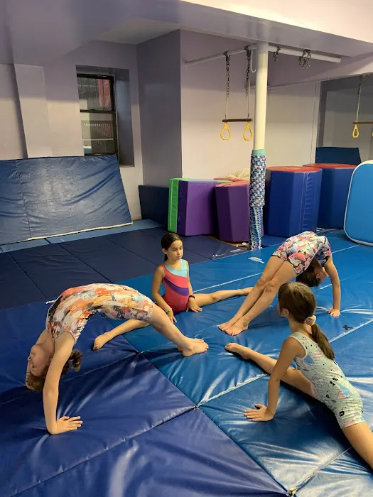 Sofia's Fitness & Dance Studio Picture 8
