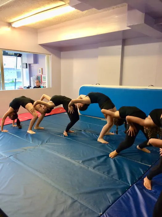 Sofia's Fitness & Dance Studio Picture 1