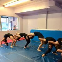 Sofia's Fitness & Dance Studio ico