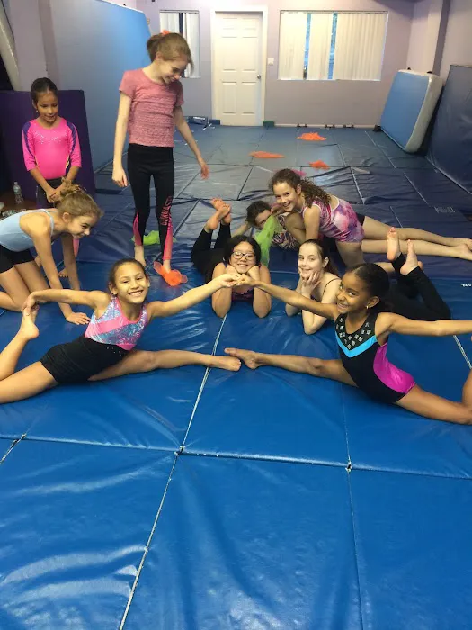Sofia's Fitness & Dance Studio Picture 9