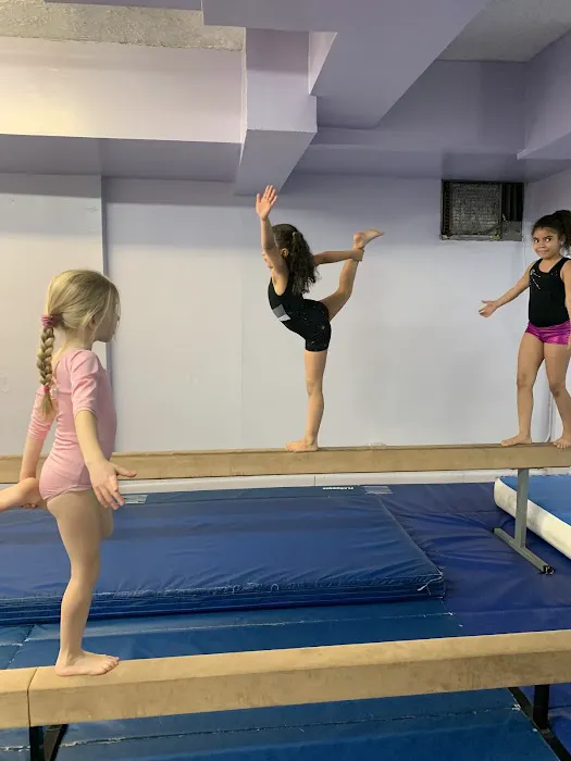 Sofia's Fitness & Dance Studio Picture 6