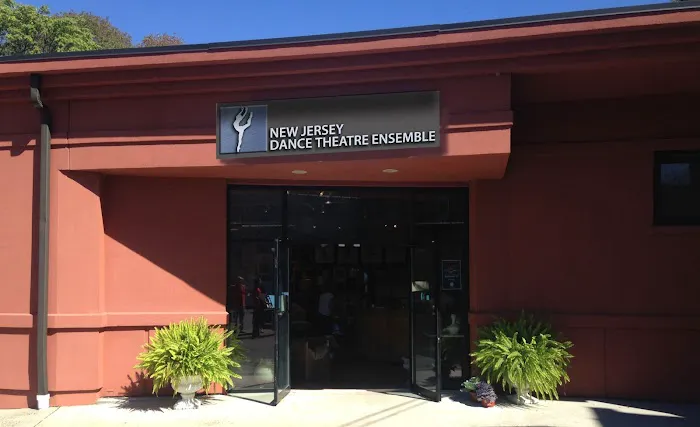 New Jersey Dance Theatre Ensemble Picture 4