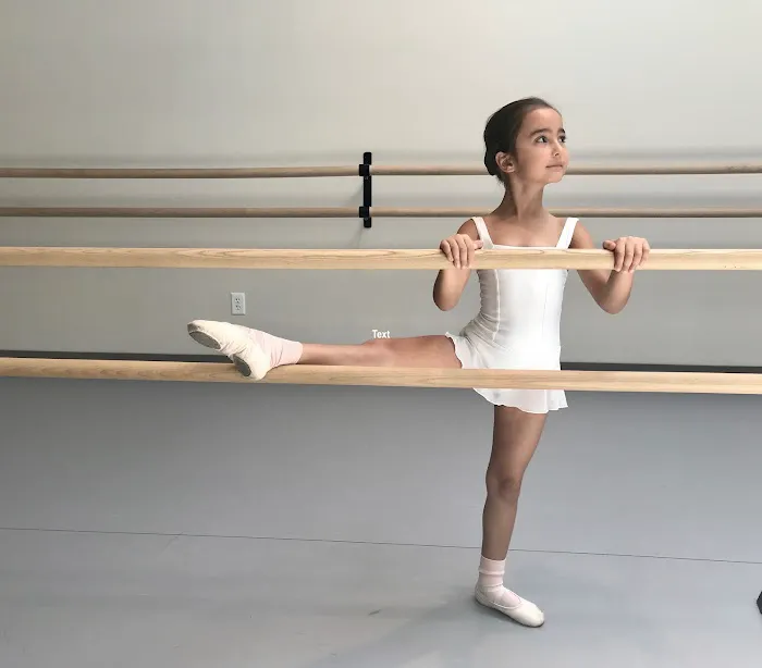 New Jersey Dance Theatre Ensemble Picture 9