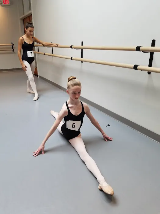 New Jersey Dance Theatre Ensemble Picture 5