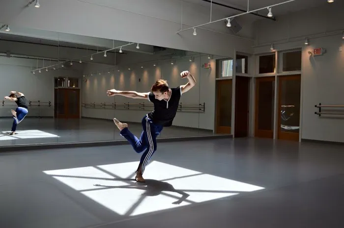 New Jersey Dance Theatre Ensemble Picture 7