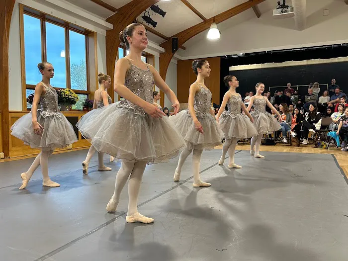 Dance Innovations, Inc. Picture 9