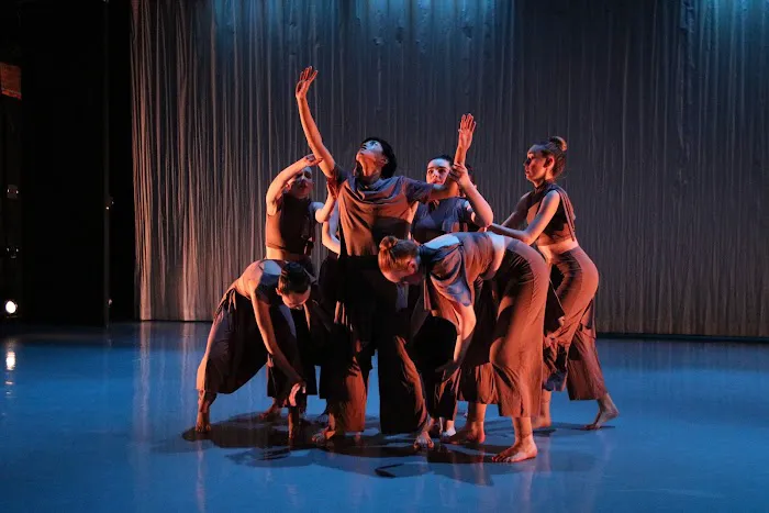Dance Innovations, Inc. Picture 8