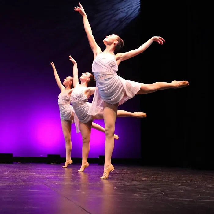 Dance Innovations, Inc. Picture 7